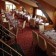 Elite Hotel Dragos